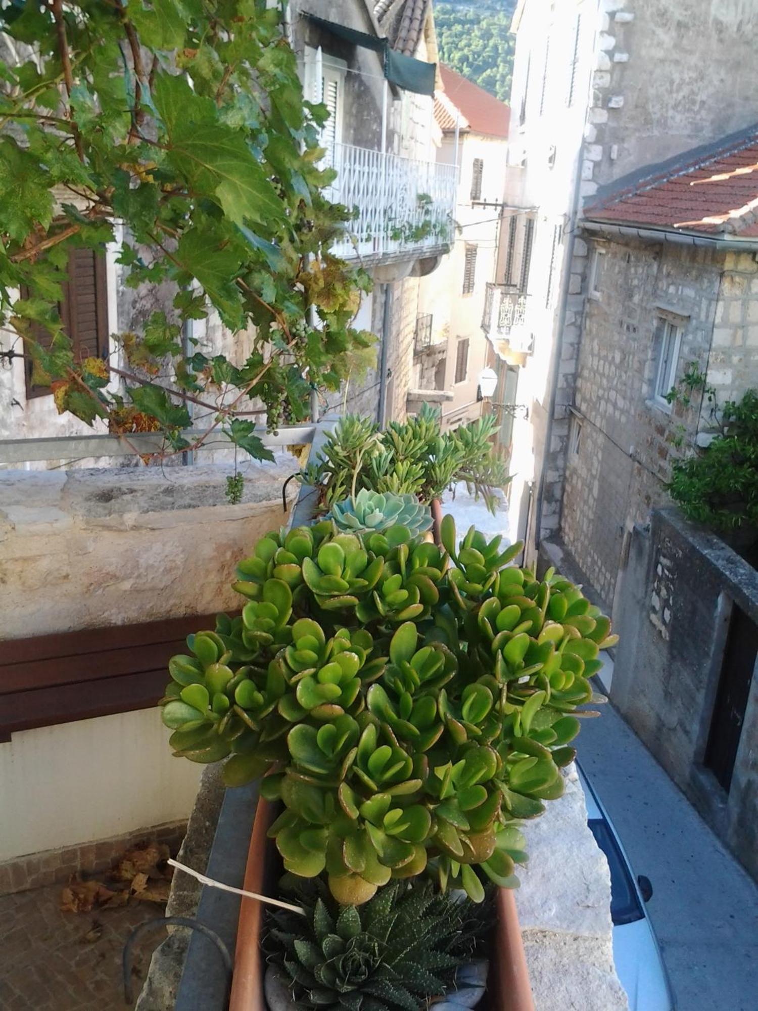 Komiža Apartments Donika חדר תמונה