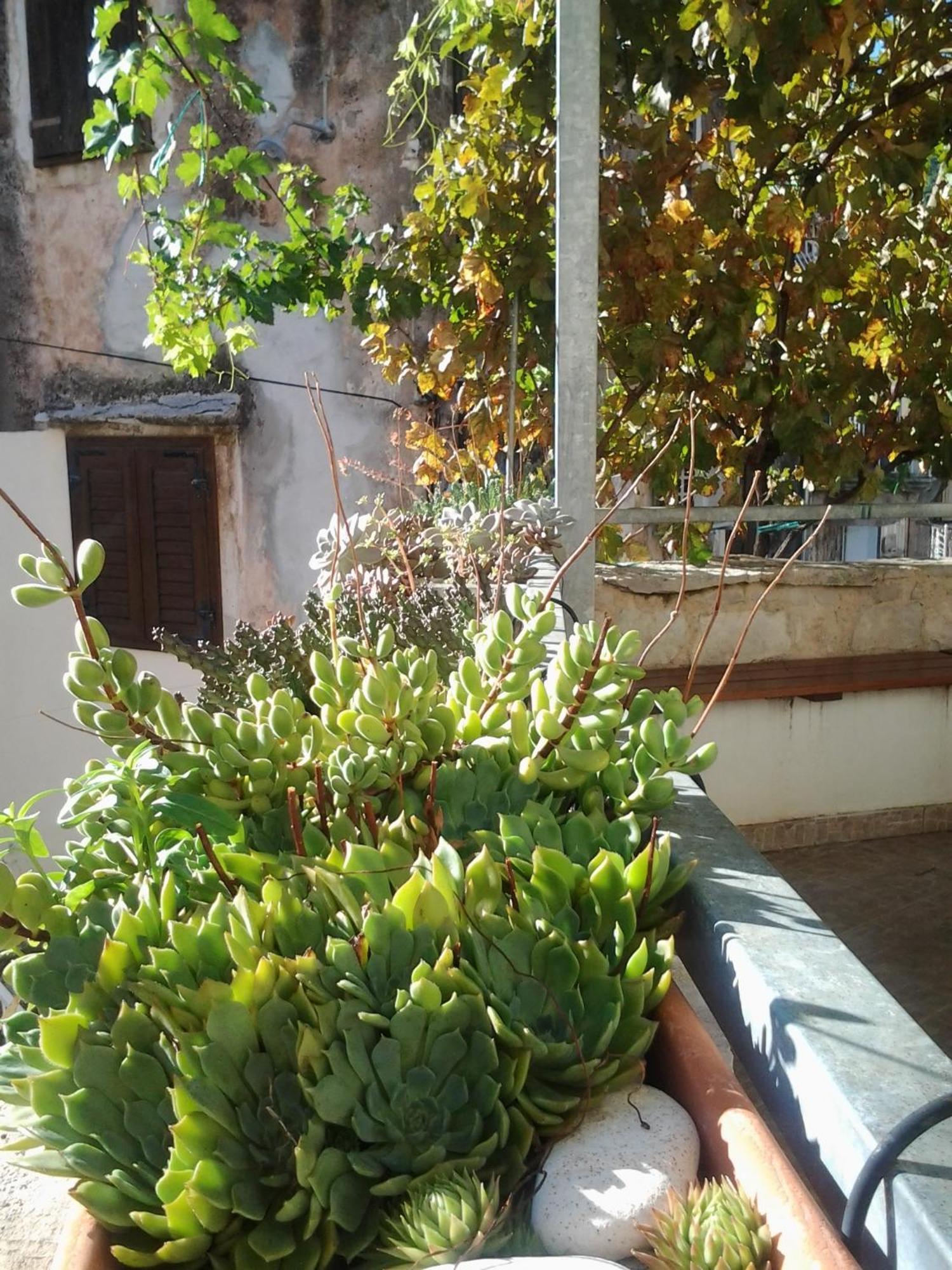 Komiža Apartments Donika חדר תמונה
