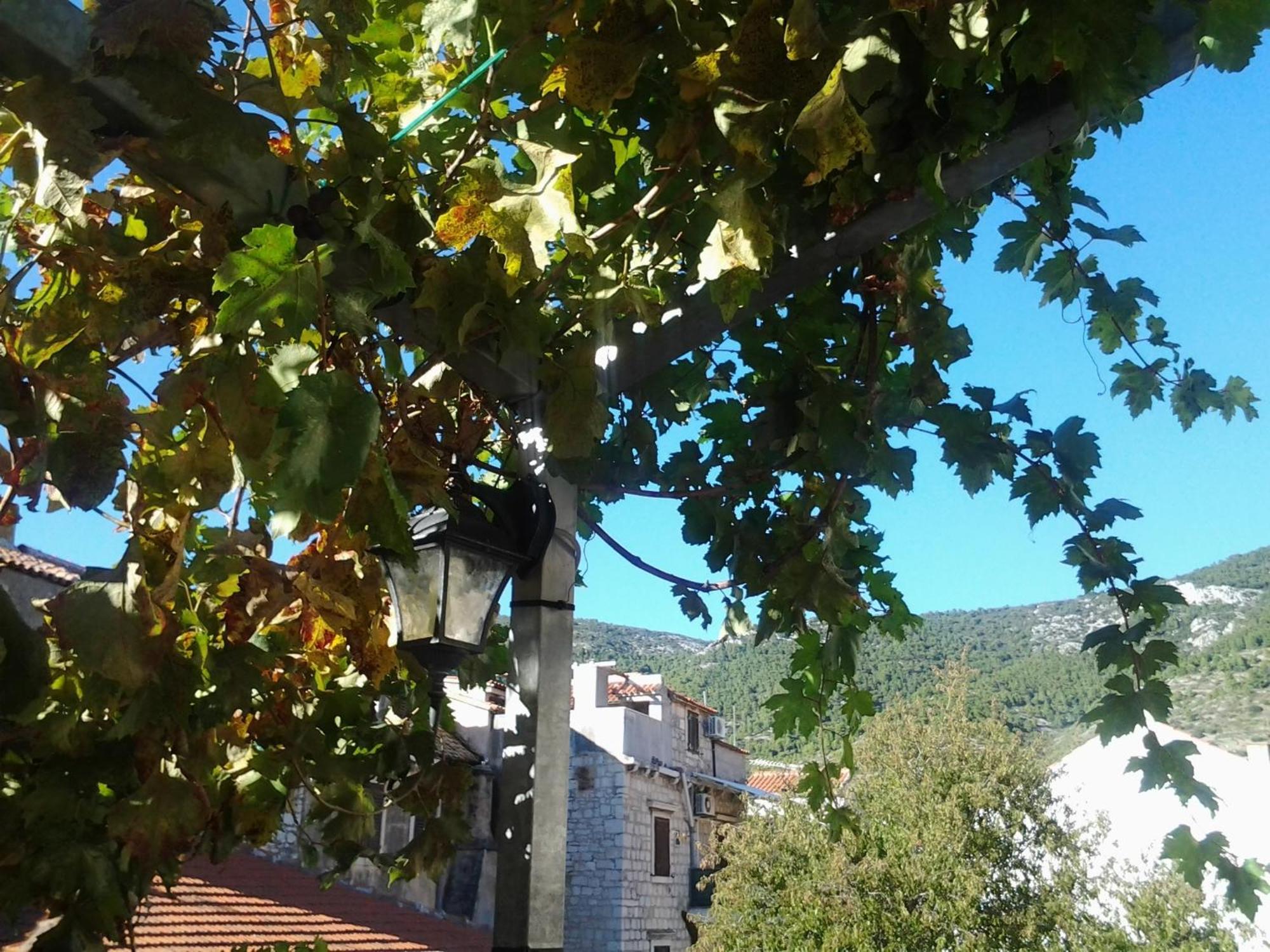 Komiža Apartments Donika חדר תמונה