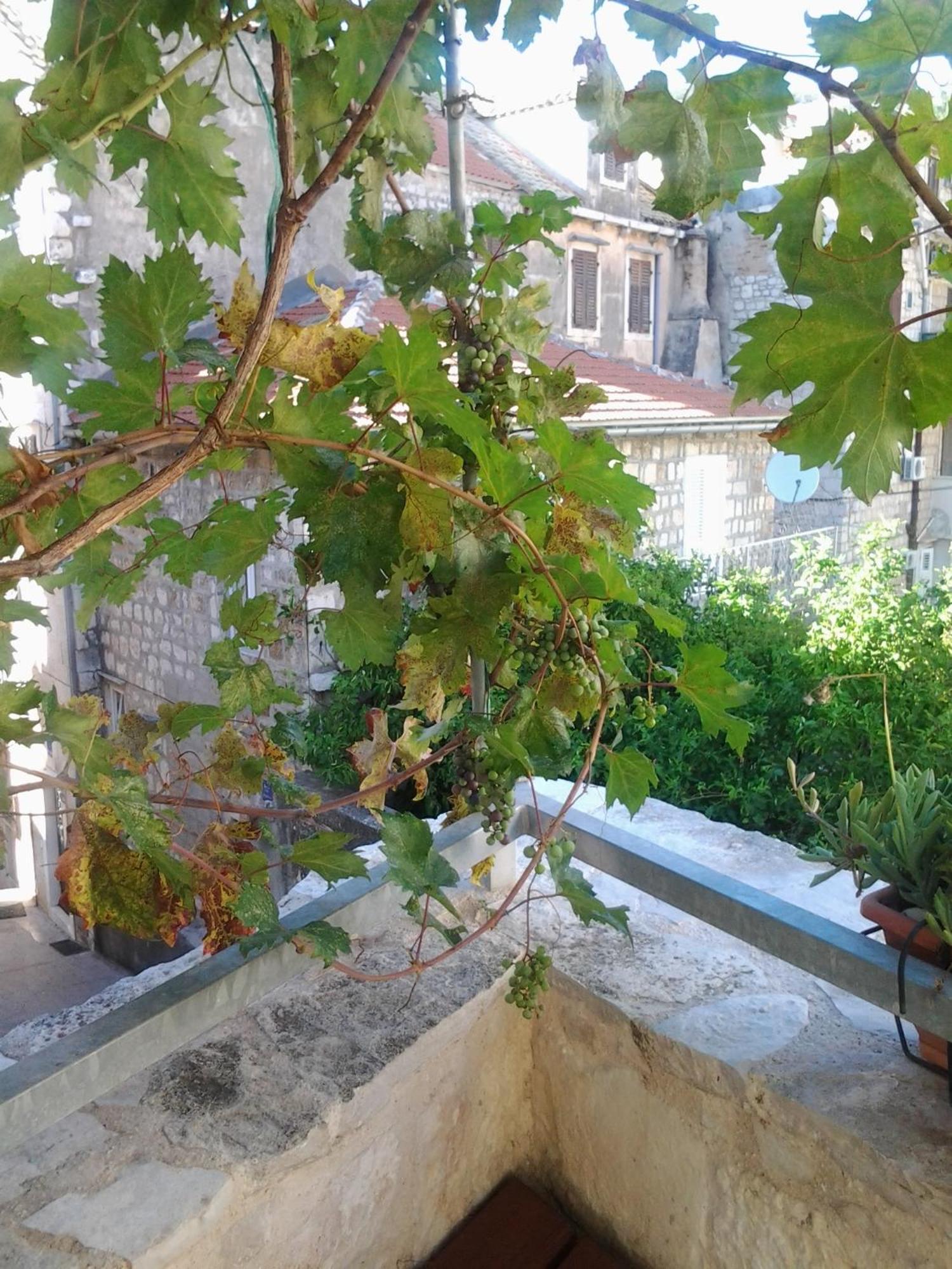 Komiža Apartments Donika חדר תמונה